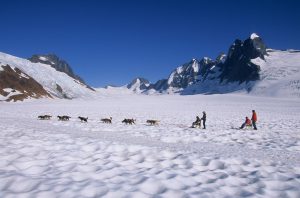 flightseeing dogsledding excursion