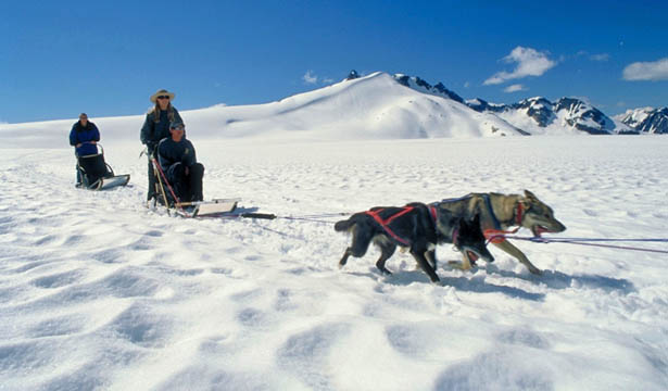 Helicopter & Dogsled Tour